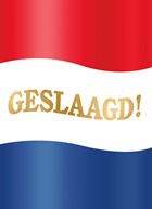 geslaagd kaart nederlandse vlag